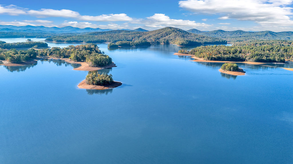 lake homes for sale near me young harris ga