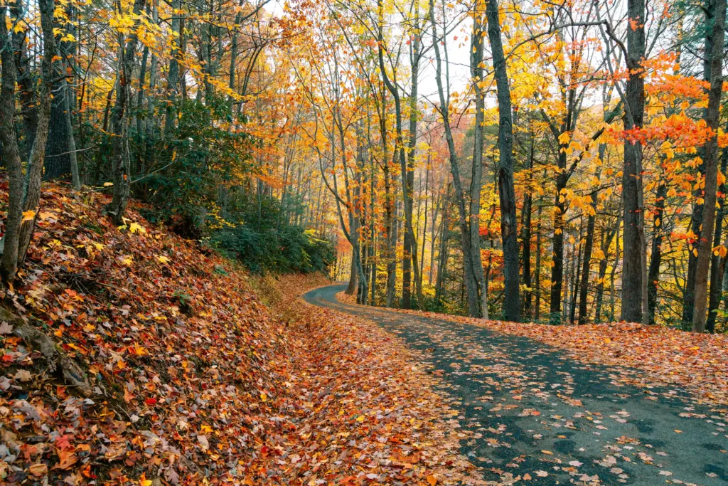 Dahlonega Georgia (2)