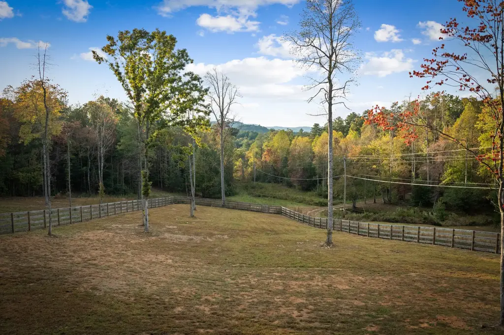 blue ridge mountains house for sale Demorest GA