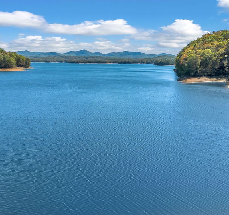 lake property for sale in north georgia
