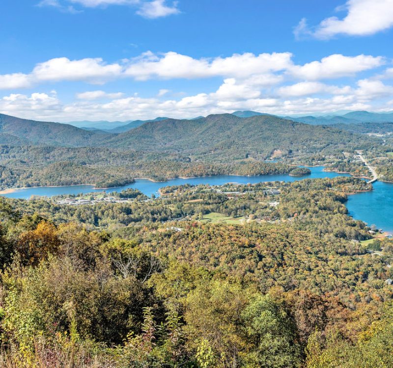 north georgia lake homes for sale