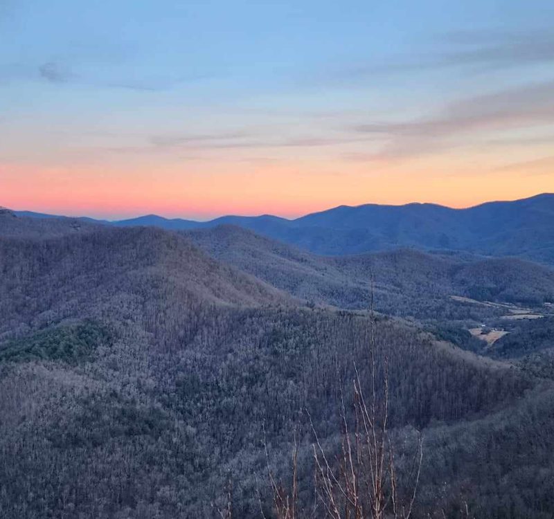 young harris georgia (2)